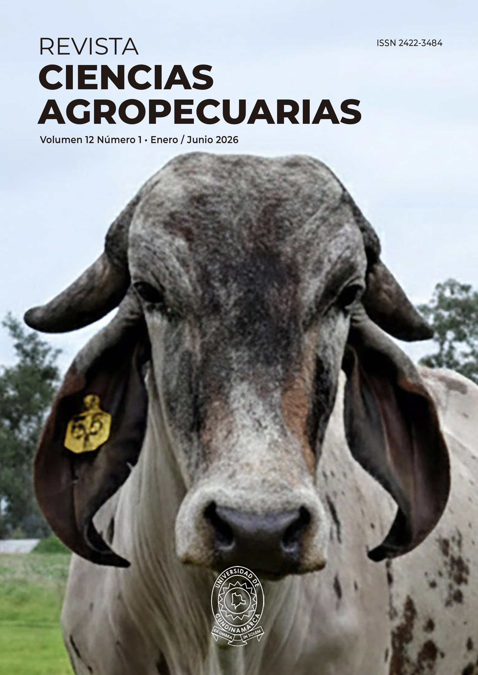 					Ver Vol. 12 Núm. 1 (2026)
				